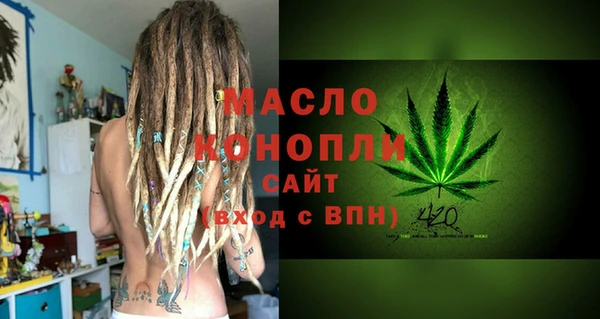 дмт Каменногорск
