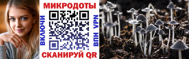Галлюциногенные грибы мицелий  Купить  Болохово 